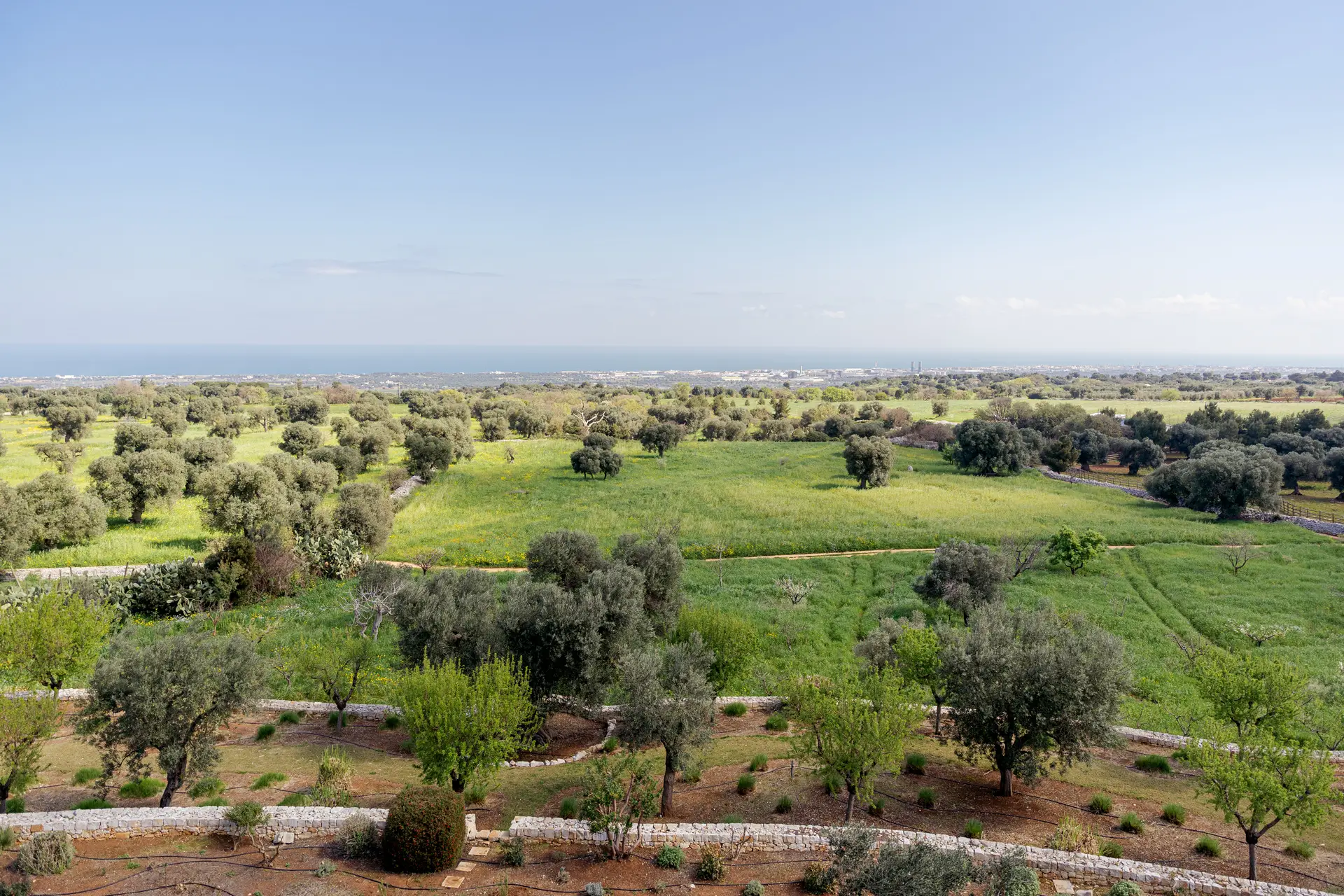 Masseria Petrarolo countryside view with green landscape