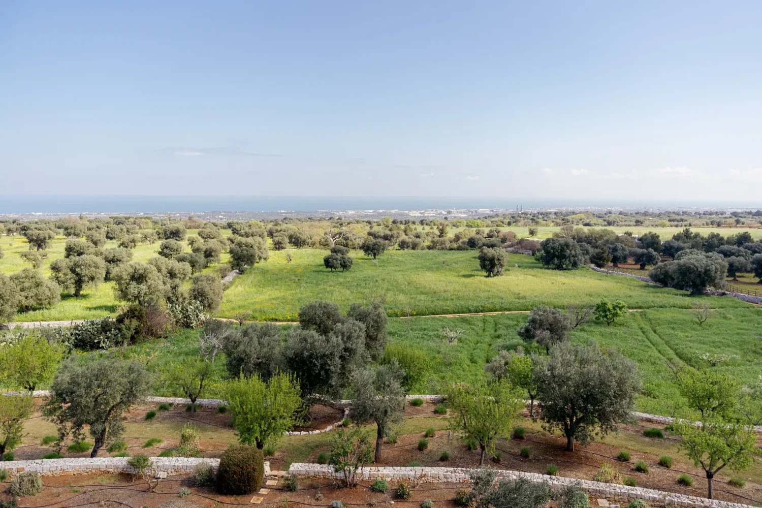 Masseria Petrarolo