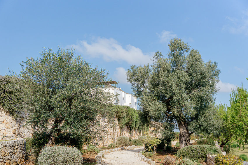 The surroundings of the Masseria Petrarolo estate