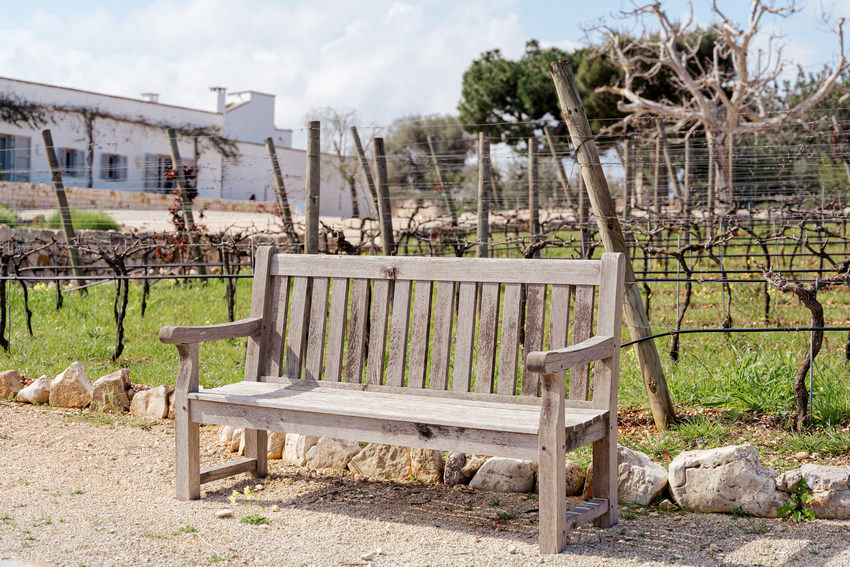 Masseria Petrarolo: a bench on the garden path