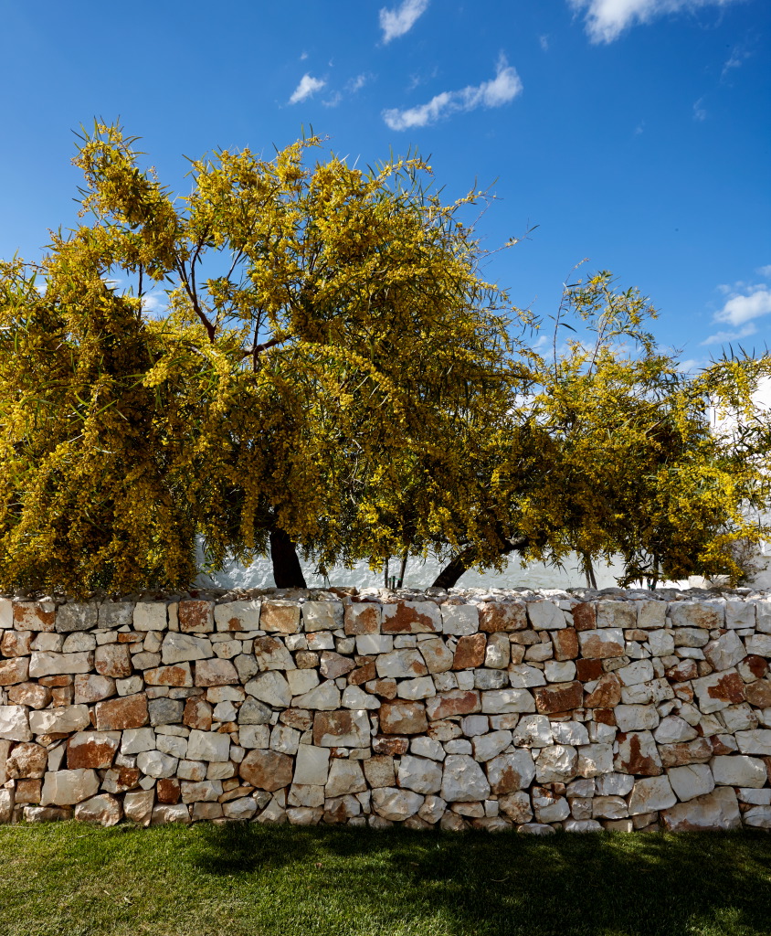 Masseria Petrarolo garden with traditional stone walls
