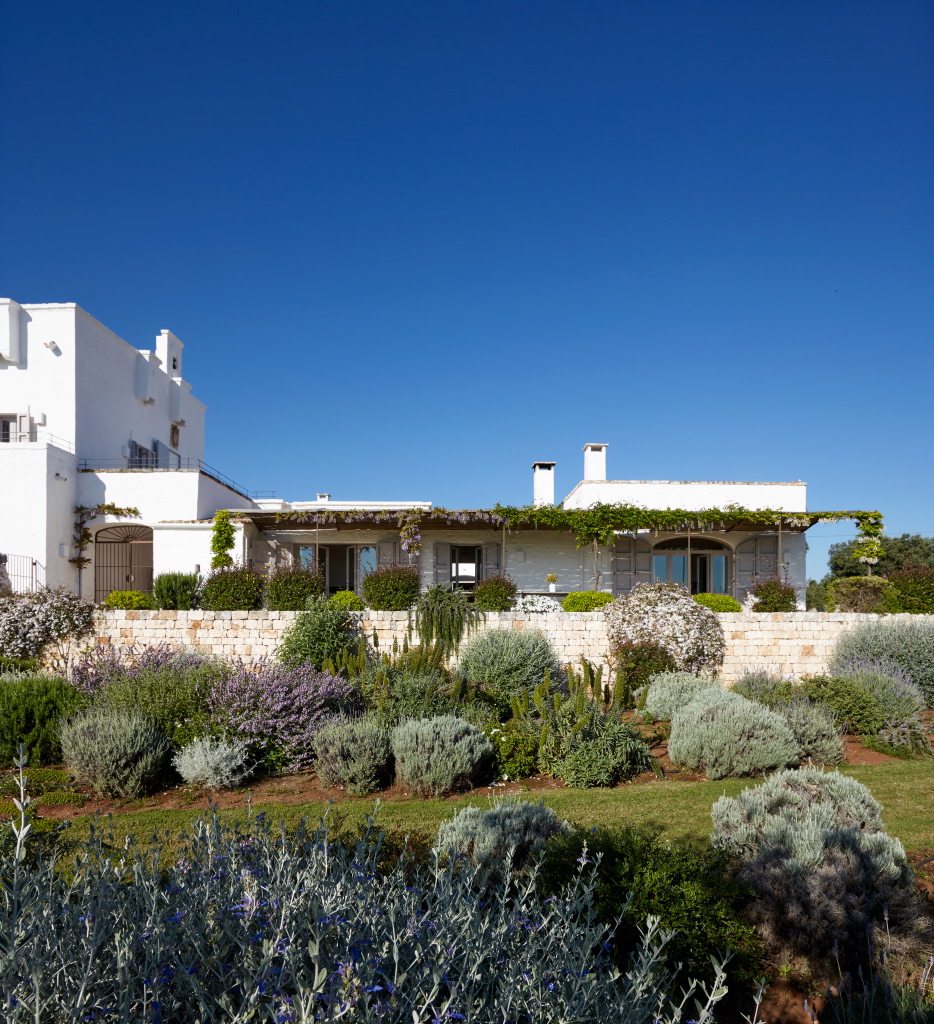 Masseria Petrarolo Mediterranean plants