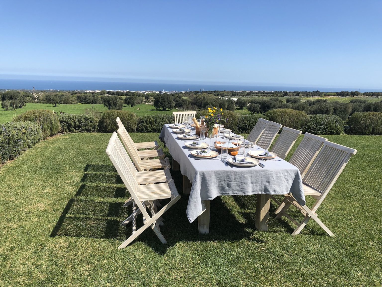Lunch on the lawn overlooking the olive groves and Adriatic