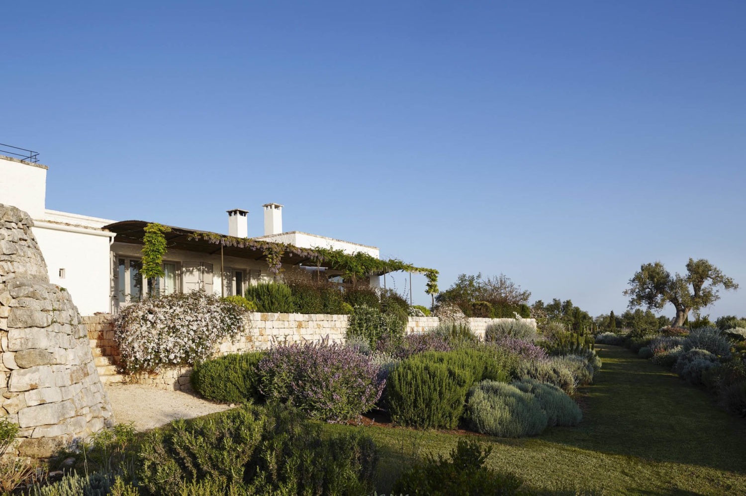 Masseria Petrarolo garden with Mediterranean plants