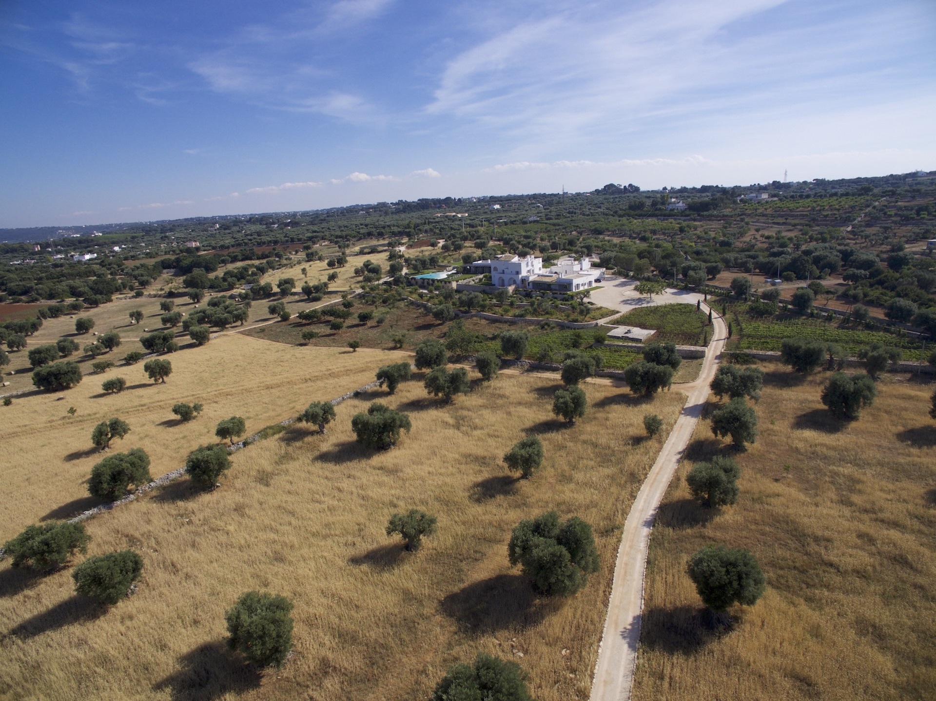 The estate and approach through the olive groves