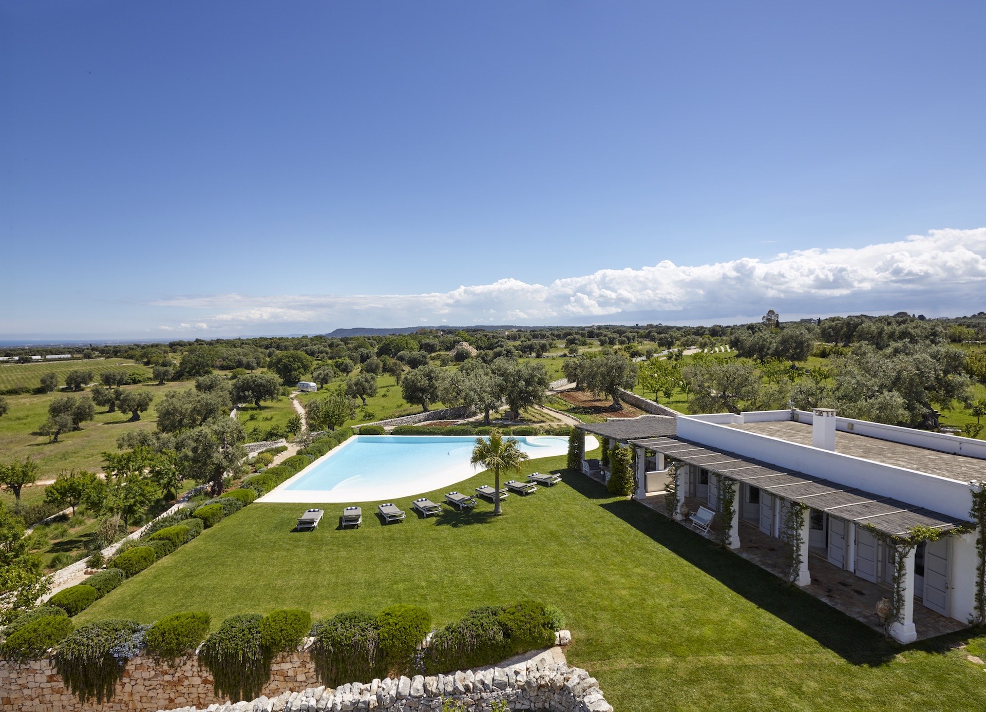 An elevated view of the main pool and gardens
