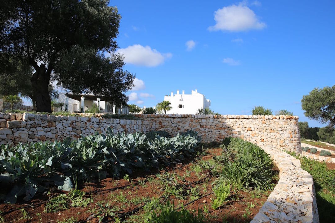 Masseria Petrarolo garden with aromatic herbs